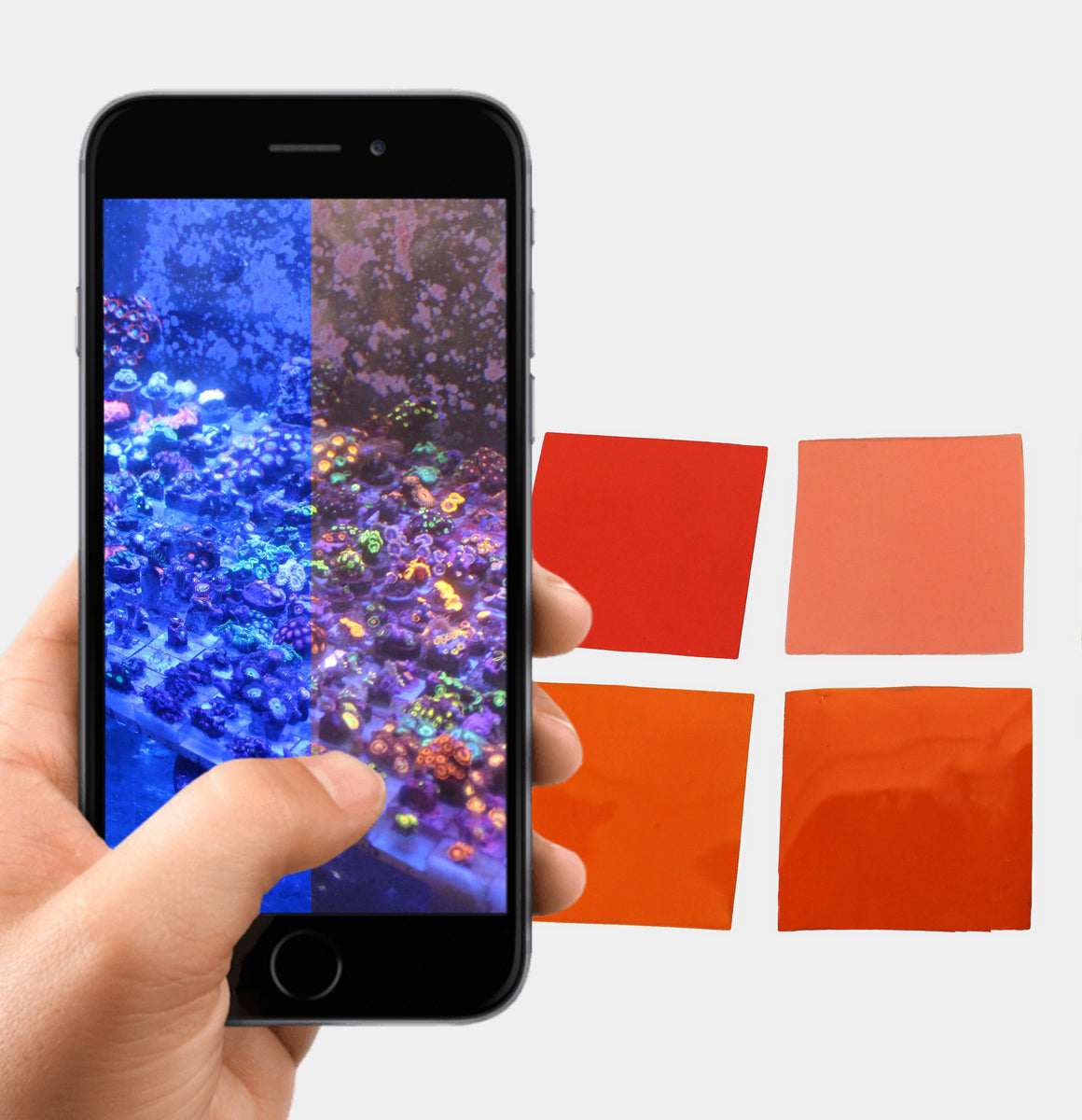 Camera Filters – CoralFish12g