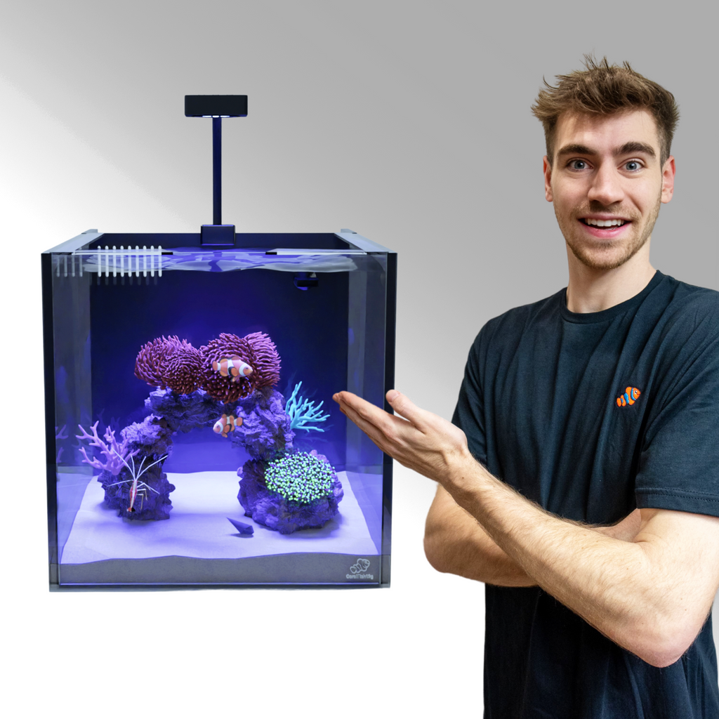 Saltwater Aquarium Beginner'S Package For Small Spaces photo