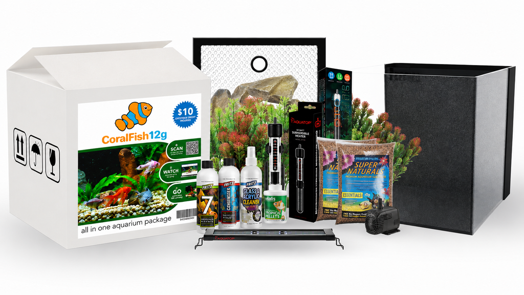 Beginner Freshwater Aquarium Kit