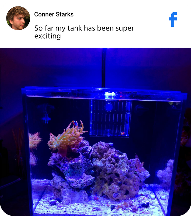 CoralFish12g Dream Saltwater Aquarium Kit