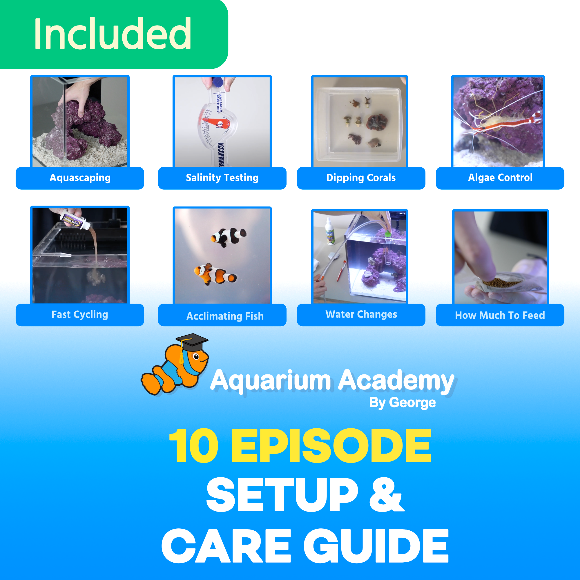 A closer look at Saltwater Aquarium For Beginners Starter Kit
