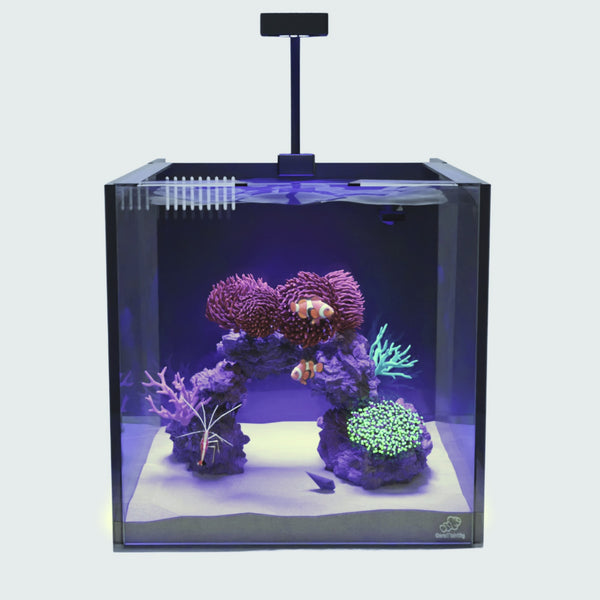 Illustration of Saltwater Aquarium Equipment For Beginners With Invertebrates