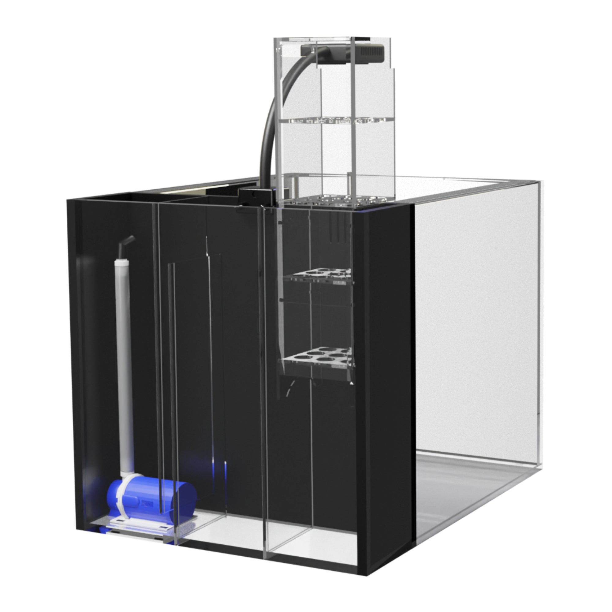 View of Beginner Saltwater Aquarium Kit - 15 Gallon Setup – CoralFish12g
